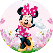  Minnie egér 1. témájú ostyalap,tortaostya sütés és főzés