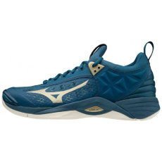 Mizuno Terem WAVE MOMENTUM unisex