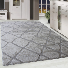 Modern szőnyeg Berber Silk 3335 (Light Grey) 160x230cm Világos Szürke lakástextília