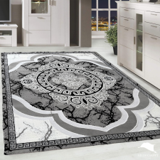 Modern szőnyeg Hermes Rose 080 Szürke 200x290cm lakástextília