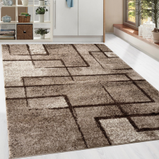 Modern szőnyeg Nara 6035 (Beige) 160x220cm Bézs lakástextília