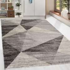  Modern szőnyeg Platin 1016 (L-Vizon) 80x150cm Bézs lakástextília