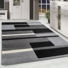  Modern szőnyeg Scarlett 4738 (Gray) 120x170cm Szürke lakástextília