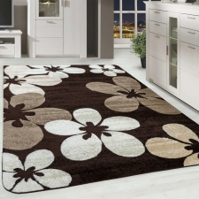  Modern szőnyeg Scarlett 4808 (Brown) 60x110cm Barna lakástextília