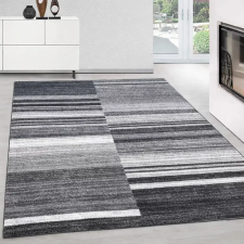  Modern szőnyeg Torino 9145 (Gray) 60x110cm Szürke lakástextília
