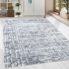 Modern szőnyeg Zara 2852 (Grey-L.Grey) 120x170cm Szürke lakástextília