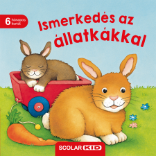 Monika Neubacher-Fesser - Ismerkedés az állatkákkal gyermek- és ifjúsági könyv