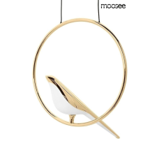  MOOSEE BIRD DISC arany függőlámpa világítás