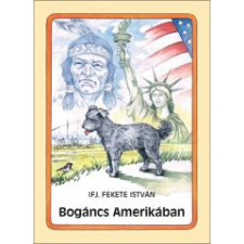 Móra Bogáncs Amerikában irodalom