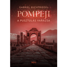 MÓRA FERENC IFJÚSÁGI KÖNYVKIADÓ ZRT Pompeji - A pusztulás varázsa - Gabriel Zuchtriegel történelem