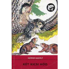 ﻿Móra Ferenc Könyvkiadó Két kicsi hód (Delfin könyvek) antikvárium - használt könyv