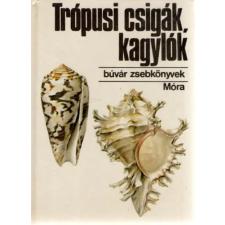 Móra Ferenc Könyvkiadó Trópusi csigák, kagylók (búvár zsebkönyv) antikvárium - használt könyv