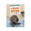 Móra Könyvkiadó : KALANDOS MATEK - AZ ÁLLATKERTBEN - Egyéb