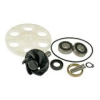 Motoforce Vízszivattyú Javítókészlet Minarelli