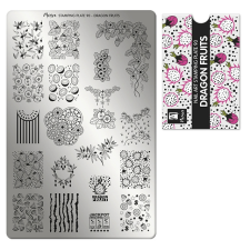 Moyra Körömnyomda Lemez NO.90 Dragon Fruits körömdíszítő