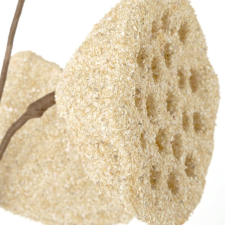  Mű lótusz termés 419 Krémszín dekoráció