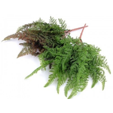  Mű páfrány csokor dekorációs kellék