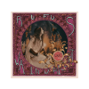 Music on Vinyl Rufus Wainwright - Want Two (180 gram Edition) (Vinyl LP (nagylemez))