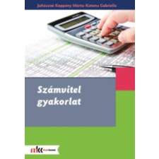 Műszaki Könyvkiadó Számvitel gyakorlat - Juhászné Koppány Márta, Katona Gabriella antikvárium - használt könyv