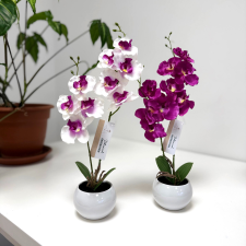  Művirág - Orchidea kerámia kaspóban dekoráció