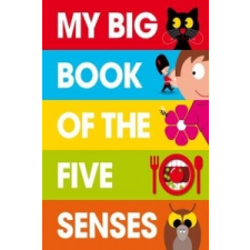 My Big Book of the Five Senses – Patrick George idegen nyelvű könyv