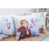 My carpet company kft TOP! NAT. Disney Kispárnahuzat - Jégvarázs P01 40x40 cm
