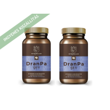 Myrobalan DranPa agyserkentő és memóriajavító gyógynövény-komplex 2x60 db reform élelmiszer