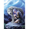 N/A Anne Stokes Collection - Protector 1000 db-os puzzle - Clementoni (FRTX-CLE39465)