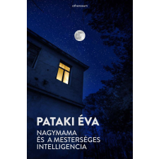 Nagymama és a mesterséges intelligencia regény