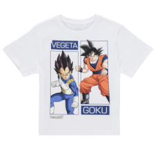 NAME IT Rövid ujjú pólók NKMJES DRAGON Fehér 7 Jahre gyerek póló