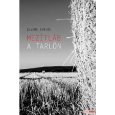 NAPKÚT Mezítláb a tarlón egyéb e-könyv