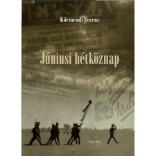 Napvilág Kiadó Júniusi hétköznap regény