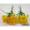  Nárcisz 3 szálas köteg 35cm - Napsárga