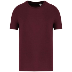 Native Spirit Native Spirit NS300 ECO-FRIENDLY UNISEX T-SHIRT 2XL