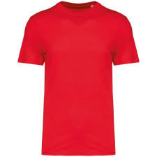 Native Spirit Native Spirit NS300 ECO-FRIENDLY UNISEX T-SHIRT 2XL női póló