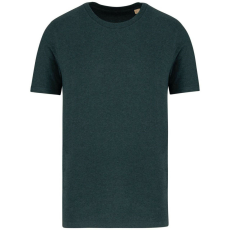 Native Spirit Native Spirit NS300 ECO-FRIENDLY UNISEX T-SHIRT 3XL