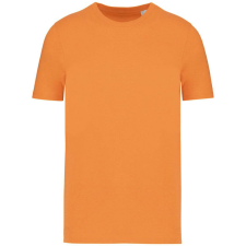 Native Spirit Native Spirit NS300 ECO-FRIENDLY UNISEX T-SHIRT 4XL férfi póló