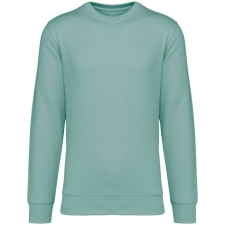 Native Spirit Native Spirit NS400 ECO-FRIENDLY UNISEX ROUND NECK SWEATSHIRT L férfi pulóver, kardigán