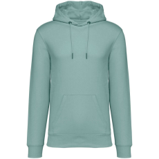 Native Spirit Native Spirit NS401 ECO-FRIENDLY UNISEX HOODED SWEATSHIRT L
