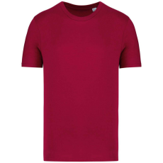  Native Spirit NS300 ECO-FRIENDLY UNISEX T-SHIRT 4XL