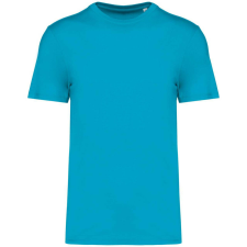 Native Spirit NS300 ECO-FRIENDLY UNISEX T-SHIRT 5XL férfi póló