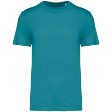  Native Spirit NS300 ECO-FRIENDLY UNISEX T-SHIRT L