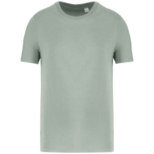 Native Spirit NS300 ECO-FRIENDLY UNISEX T-SHIRT S férfi póló