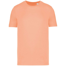 Native Spirit NS300 ECO-FRIENDLY UNISEX T-SHIRT XL női póló