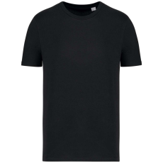 Native Spirit NS300 ECO-FRIENDLY UNISEX T-SHIRT XL