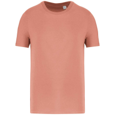 Native Spirit NS300 ECO-FRIENDLY UNISEX T-SHIRT XL munkaruha