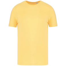 Native Spirit NS300 ECO-FRIENDLY UNISEX T-SHIRT XL