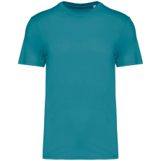 Native Spirit NS300 ECO-FRIENDLY UNISEX T-SHIRT XL