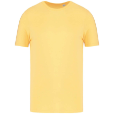 Native Spirit NS300 ECO-FRIENDLY UNISEX T-SHIRT XS férfi póló