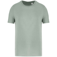 Native Spirit NS300 ECO-FRIENDLY UNISEX T-SHIRT XS munkaruha